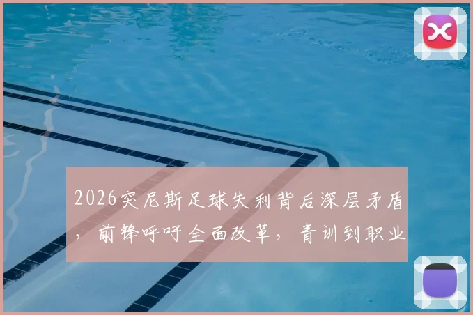 2026突尼斯足球失利背后深层矛盾,前锋呼吁全面改革,青训到职业体系问题剖析